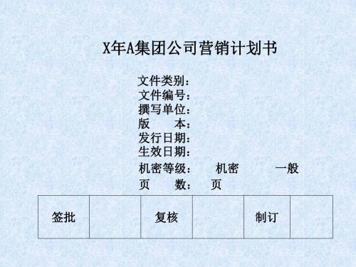 案例：X年某啤酒集团营销计划(简略版)