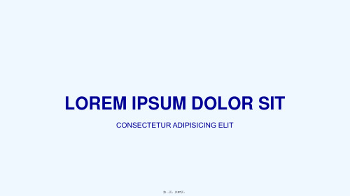 LOREM IPSUM实用精美商务PPT模板