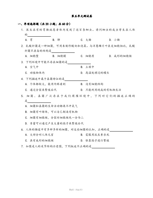 人教版八年级生物上册单元测试卷第五单元(word版,有答案)