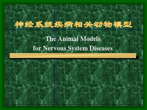 神经系统疾病相关动物模型