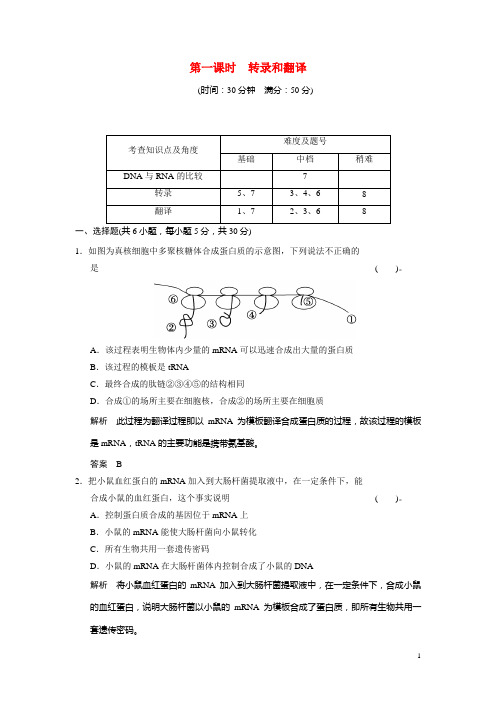 高中生物 3.4.1 转录和翻译配套试题 浙科版必修2