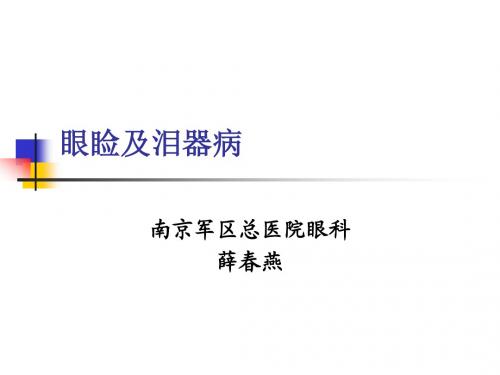 眼睑泪器病