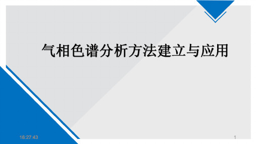 气相色谱分析方法的建立与应用