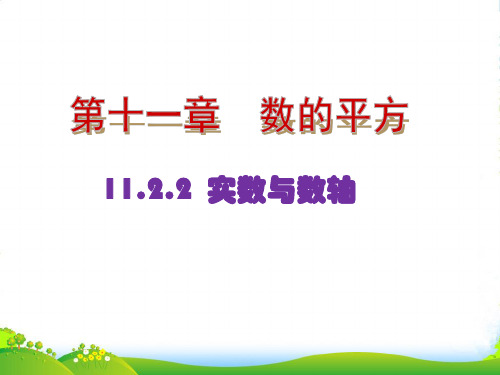 2023年华师大版八年级数学上册《实数的性质及运算》课件