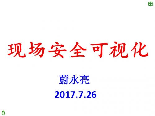 现场安全可视化培训教材(ppt 共70页)