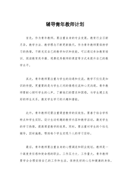 辅导青年教师计划