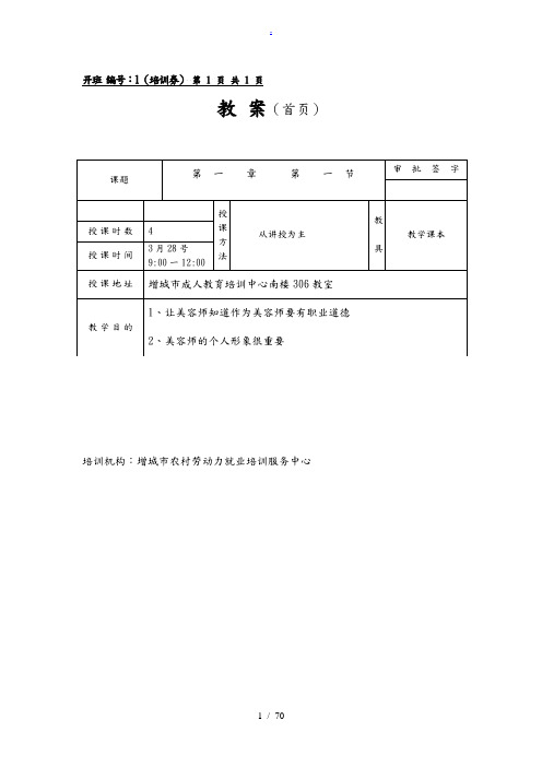 初级美容师(本地)教(学)案