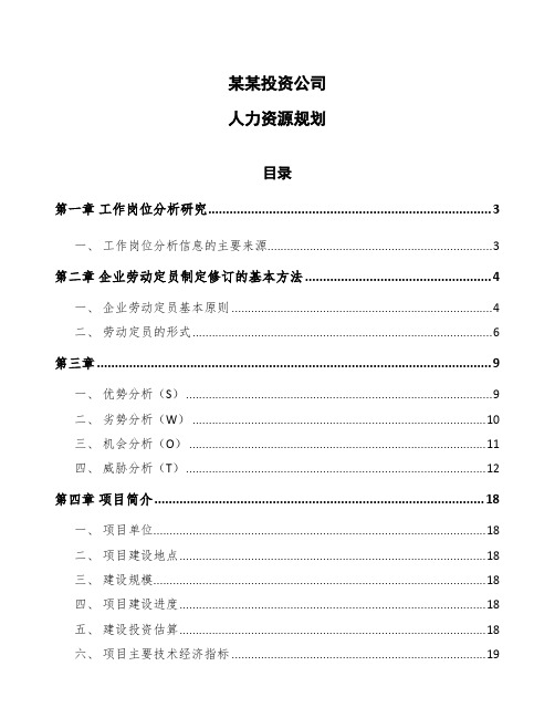 某某投资公司人力资源规划(参考)