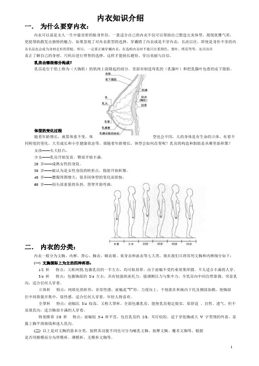 内衣知识