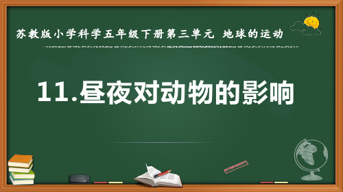 最新2022苏教版科学五年级下册《昼夜对动物的影响》优质课件