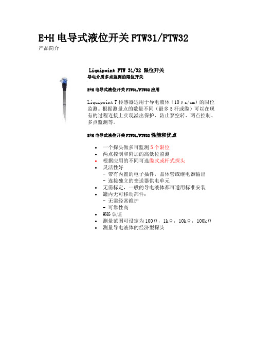 E+H电导式液位开关FTW31 FTW32