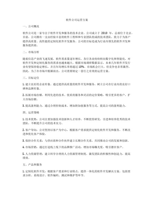 软件公司运营方案