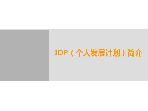 IDP(个人发展计划)PPT课件