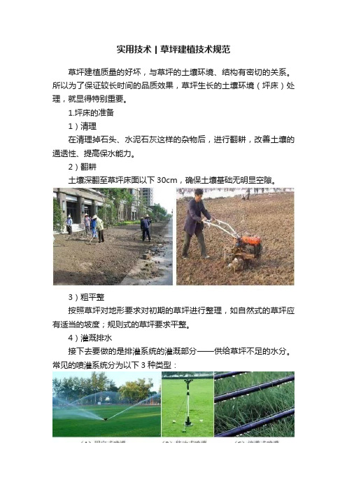 实用技术丨草坪建植技术规范