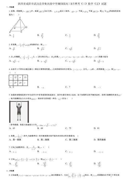 陕西省咸阳市武功县普集高级中学2023届高三5月模考(三)数学(文)试题