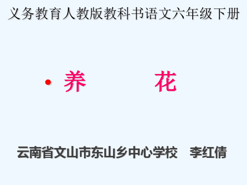 语文人教版六年级下册老舍《养花》课件