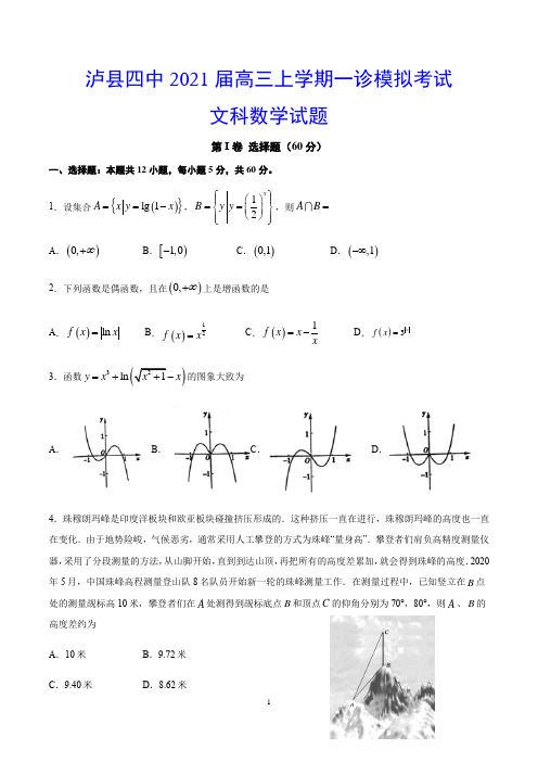 泸县四中2021届高三上学期一诊模拟考试 文科数学试题(含答案)