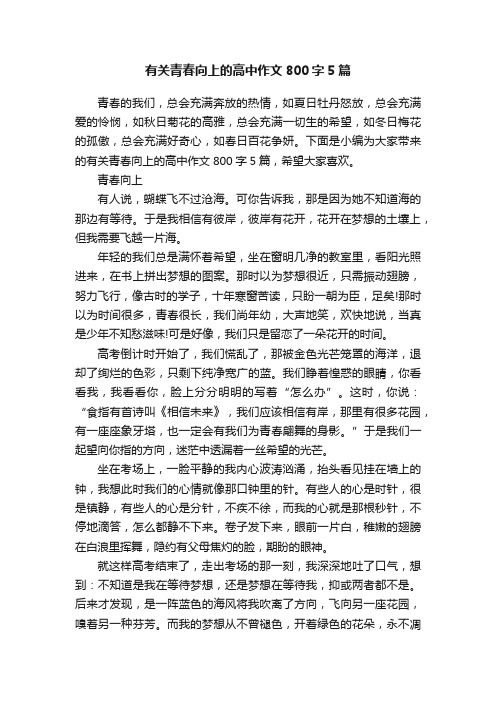 有关青春向上的高中作文800字5篇