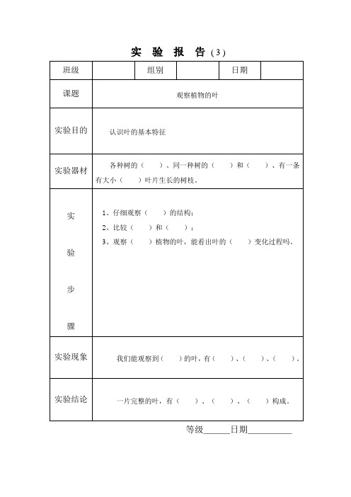 3观察植物的叶