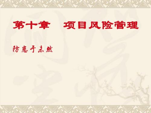 [经济学]第10章  项目风险管理