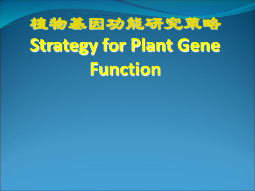 植物基因功能研究策略