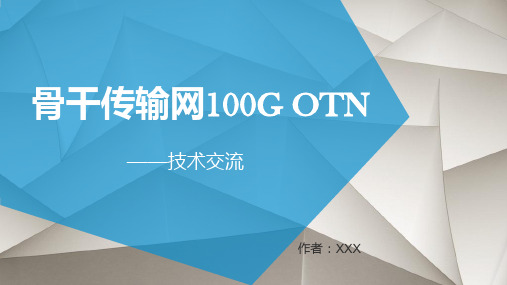 100GOTN技术交流