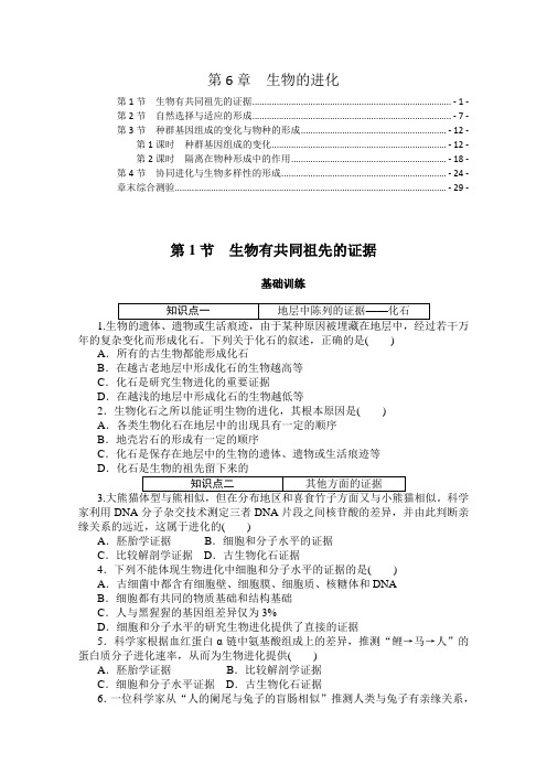 新教材人教版高中生物必修2第六章生物的进化课时分层练习题及章末综合测验 含解析