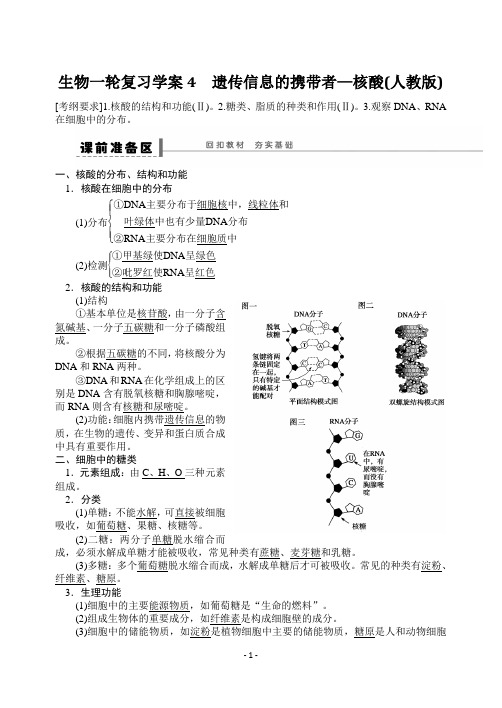 2013届高考生物一轮复习学案4 遗传信息的携带者——核酸(人教版)