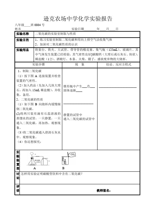 二氧化碳制取实验报告