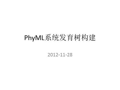 用PhyML构建系统发育树 PPT课件