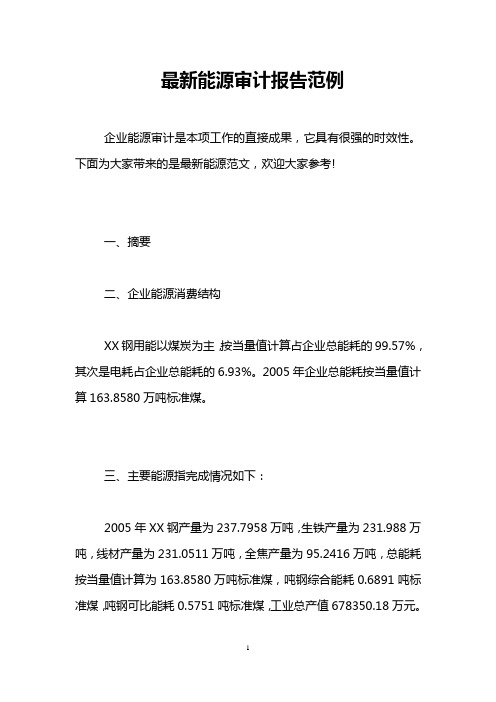 最新能源审计报告范例