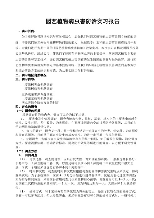 病虫害防治实习报告 (1)