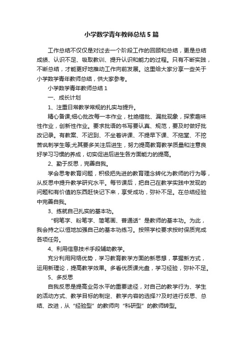 小学数学青年教师总结5篇