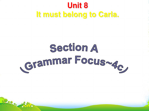 人教版九年级英语unit 8 Section A (grammar focus- 4c)优课件