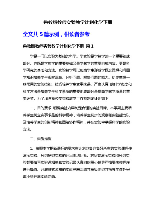 鲁教版教师实验教学计划化学下册