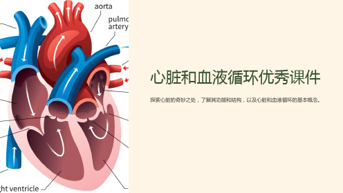 心脏和血液循环优秀课件