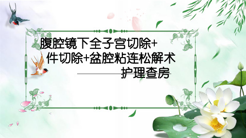 腹腔镜下全子宫切除+左侧附件切除护理查房