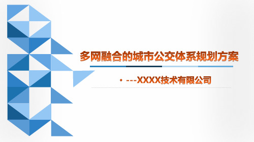 多网融合的城市公交体系规划方案