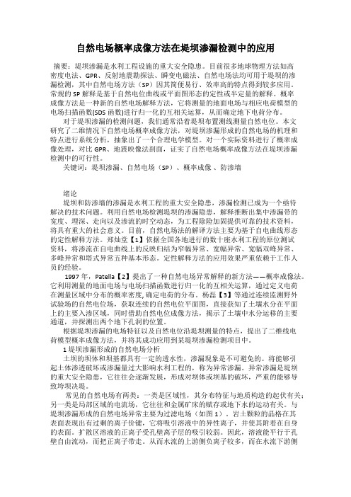 自然电场概率成像方法在堤坝渗漏检测中的应用