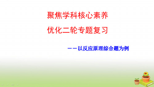 高考化学二轮复习聚焦学科核心素养优化二轮专题复习课件(59张)(广东专用)