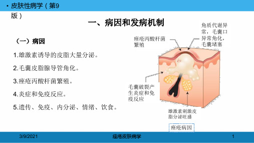 痤疮皮肤病学培训课件