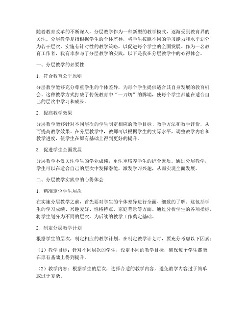 解密分层教学心得体会