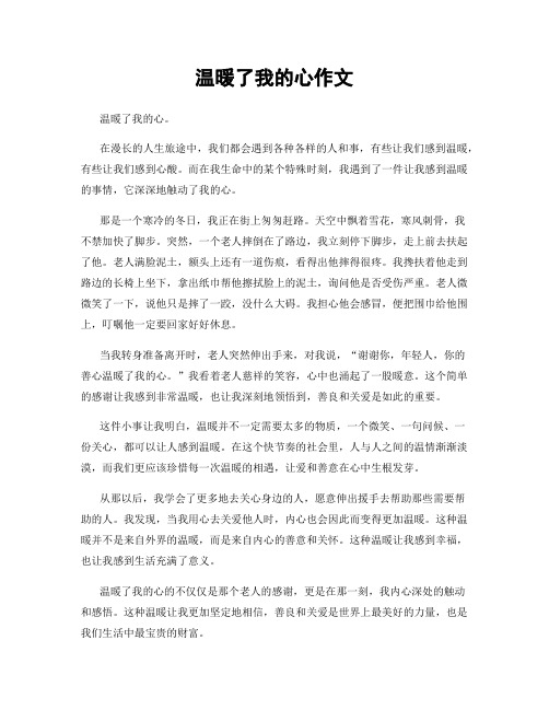 温暖了我的心作文