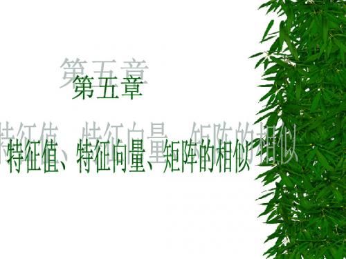 线性代数 第五章第一节 矩阵的特征值与特征向量