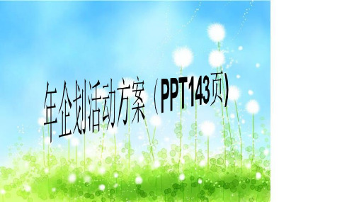 年企划活动方案(PPT143页)