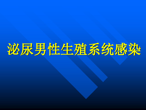 泌尿男性生殖系统感染PPT课件