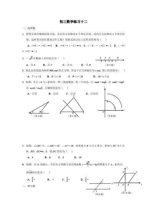 江苏省南京市溧水区孔镇中学九年级数学练习12(无答案)
