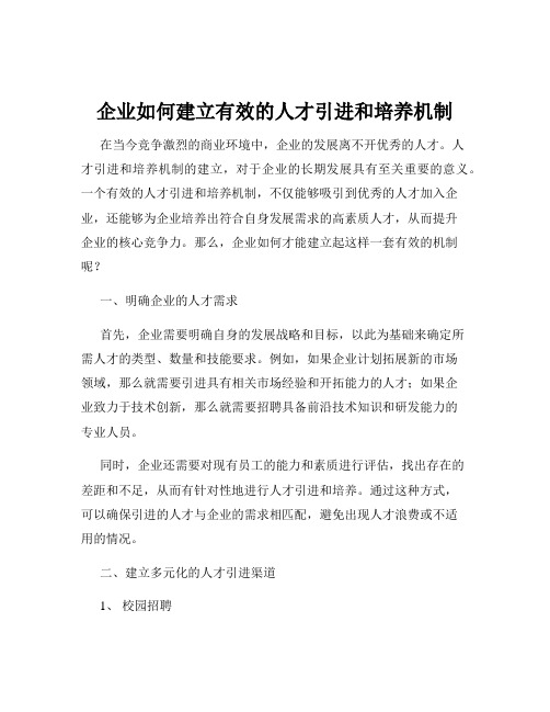 企业如何建立有效的人才引进和培养机制