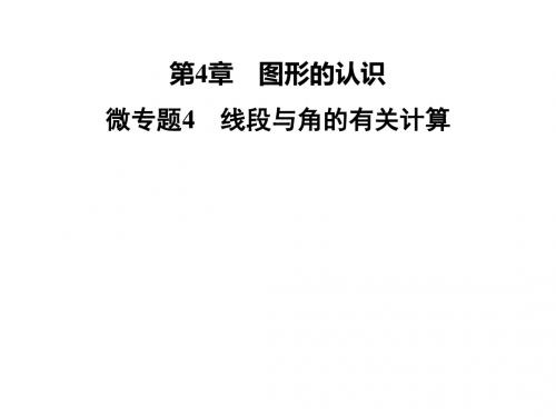 2019年秋七年级数学湘教版上册课件：微专题4 线段与角的有关计算 (共26张PPT)教育精品.ppt