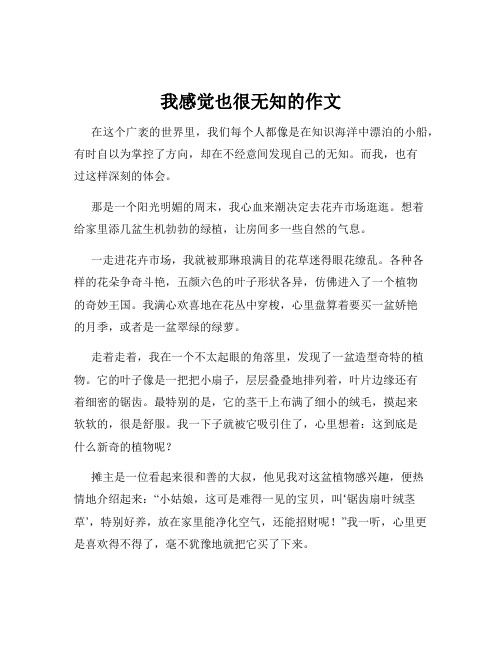 我感觉也很无知的作文